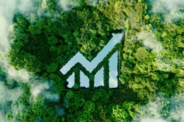 化学制品行业董秘薪酬观察：一诺威董秘高振胜年薪280.5万元同比暴涨171.28万元 超过董事长同期薪酬